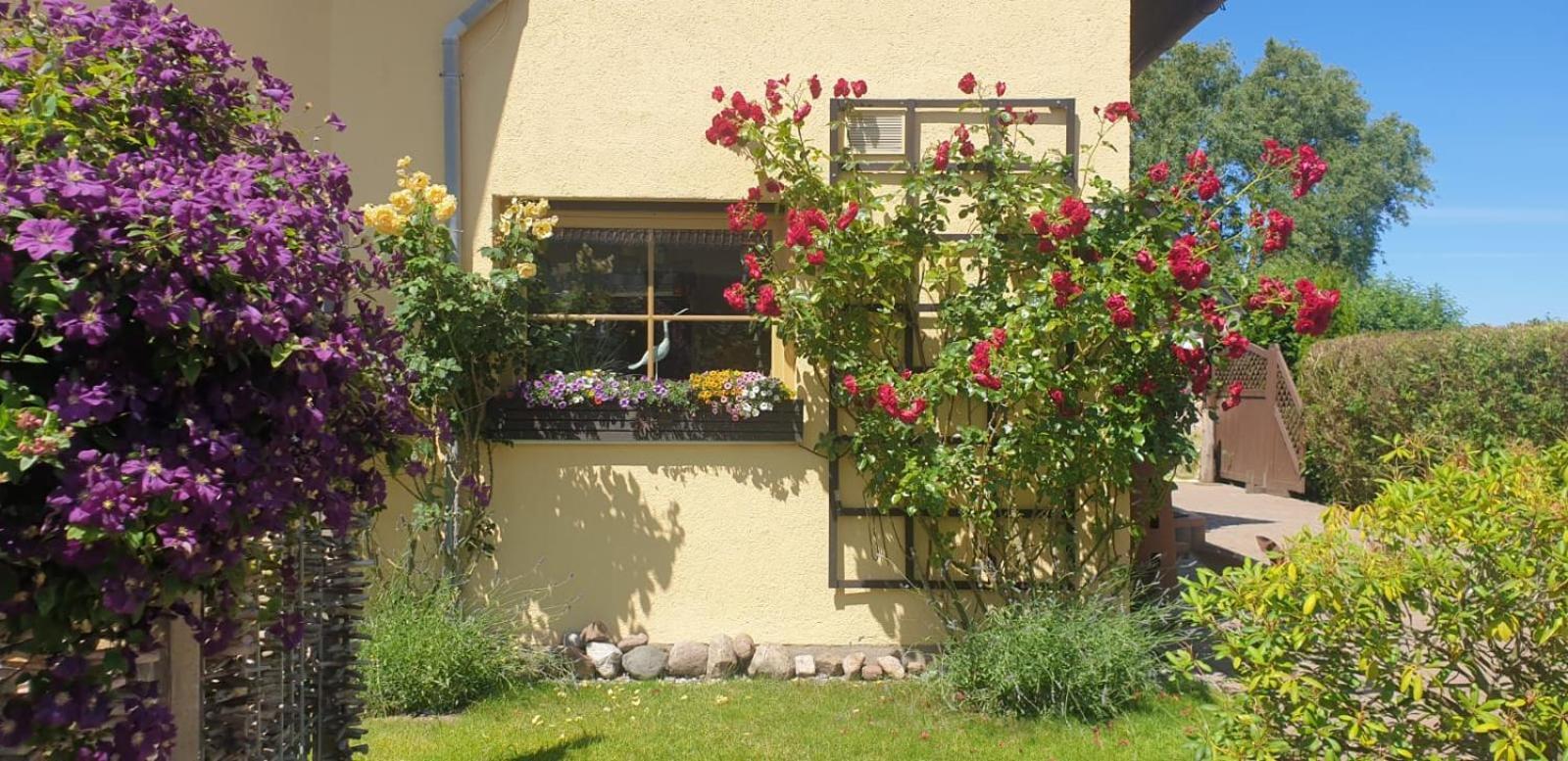Ostseeferien In Lichtenhagen-Dorf Ferienwohnung Elmenhorst/Lichtenhagen Exterior foto