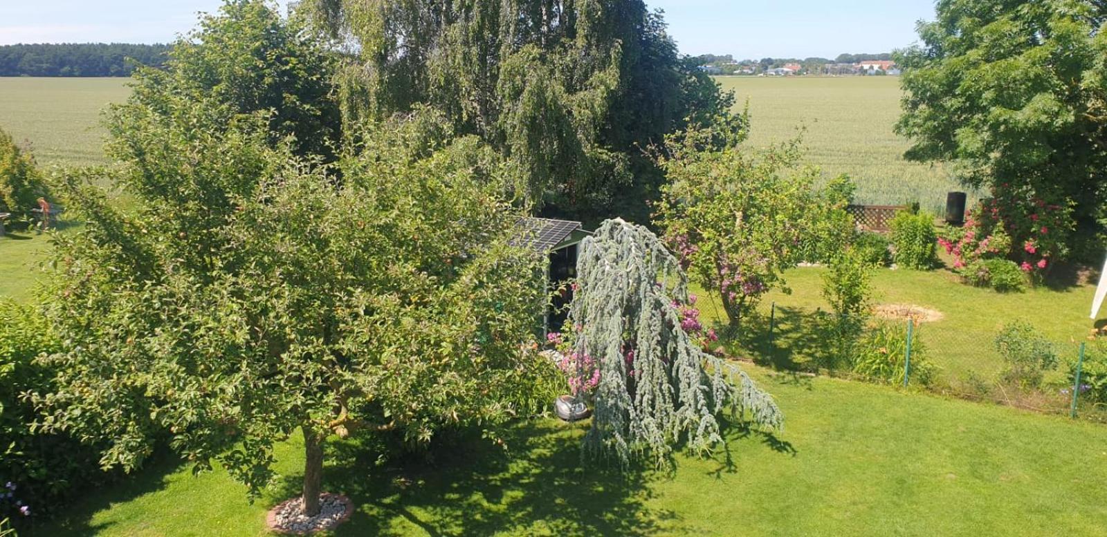 Ostseeferien In Lichtenhagen-Dorf Ferienwohnung Elmenhorst/Lichtenhagen Exterior foto